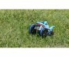 Amphi Shark 2.4GHz 100% RTR Amphi Shark 2.4GHz 100% RTR
