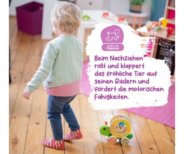 Eichhorn Color, Nachzieh-Stecktier Eichhorn Color, Nachzieh-Stecktier