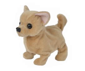 CCL Baby Puppy CCL Baby Puppy