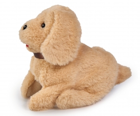 CCL Salto Puppy CCL Salto Puppy