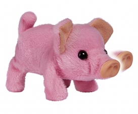 CCL Mini Pig CCL Mini Pig