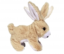 CCL Cute Rabbit CCL Cute Rabbit