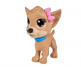 CCL Pii Pii Puppy CCL Pii Pii Puppy