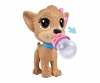 CCL Pii Pii Puppy CCL Pii Pii Puppy