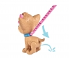 CCL Pii Pii Puppy CCL Pii Pii Puppy