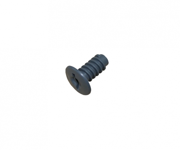 VIS TETE FENDUE GRIS 425