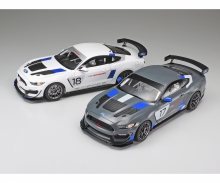 1:24 Ford Mustang GT4 1:24 Ford Mustang GT4