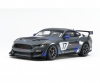 1:24 Ford Mustang GT4 1:24 Ford Mustang GT4
