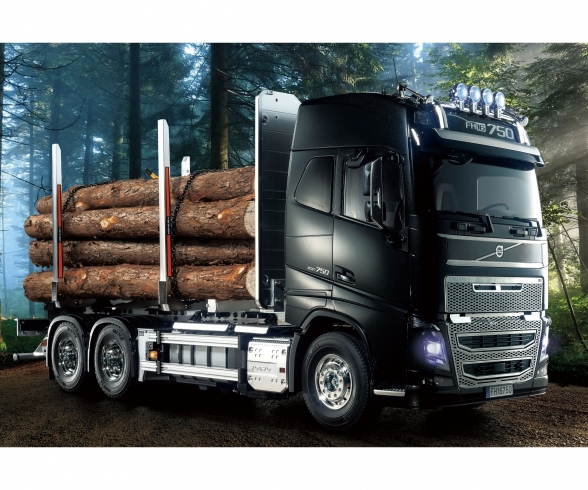 FH16 Timber Truck FH16 Timber Truck