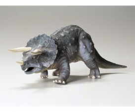Triceratops Eurycephalus Triceratops Eurycephalus