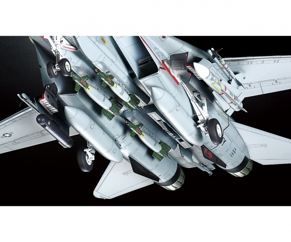 1:48 Grumman F-14D Tomcat 1:48 Grumman F-14D Tomcat