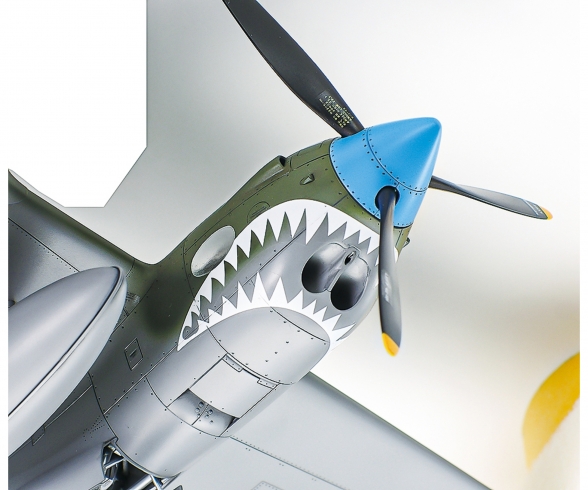 1/48 P-38 F/G Lightning 1/48 P-38 F/G Lightning