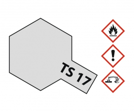 TS-17 Aluminum Silver Gloss 100ml TS-17 Aluminum Silver Gloss 100ml