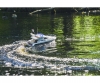 RC-Motoryacht Saint Princess 100% RTR RC-Motoryacht Saint Princess 100% RTR