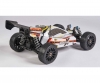 1:8 CY Specter X 3 Pro V36 2.4G RTR 1:8 CY Specter X 3 Pro V36 2.4G RTR