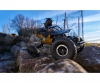 1:14 Movie App Crawlee2,4G 100%RTR gold 1:14 Movie App Crawlee2,4G 100%RTR gold