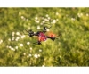 X4 Quadcopter Angry Bug 2.0 100% RTF X4 Quadcopter Angry Bug 2.0 100% RTF