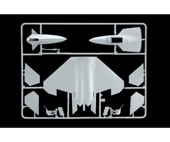 1:72 F-22 Raptor 1:72 F-22 Raptor