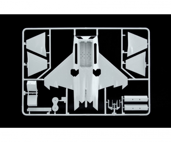 1:72 F-22 Raptor 1:72 F-22 Raptor
