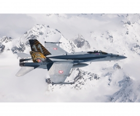 1:72 F/A-18 Hornet "Tiger Meet 2016" 1:72 F/A-18 Hornet "Tiger Meet 2016"