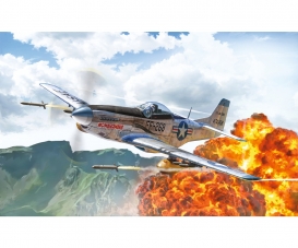 1:72 F-51D Korean War 1:72 F-51D Korean War
