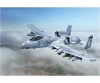 1:48 A-10C "Blacksnakes" 1:48 A-10C "Blacksnakes"
