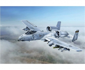 1:48 A-10C "Blacksnakes" 1:48 A-10C "Blacksnakes"