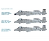 1:48 A-10C "Blacksnakes" 1:48 A-10C "Blacksnakes"