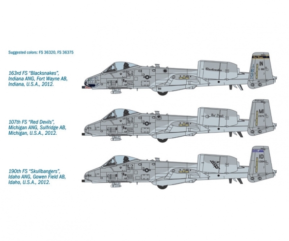 1:48 A-10C "Blacksnakes" 1:48 A-10C "Blacksnakes"