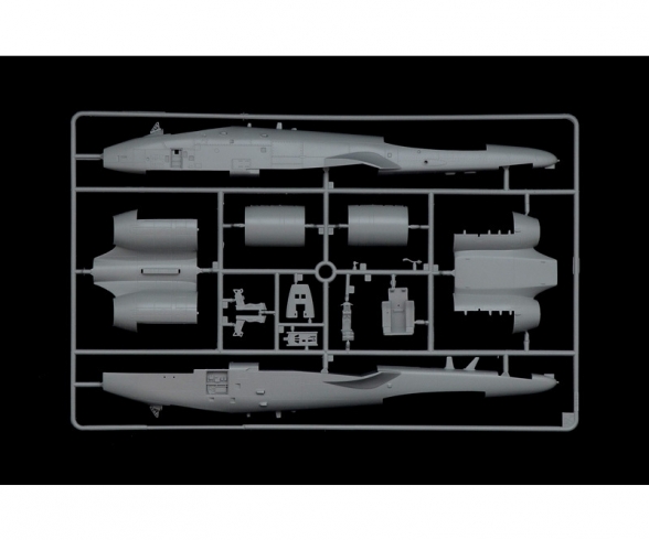 1:48 A-10C "Blacksnakes" 1:48 A-10C "Blacksnakes"
