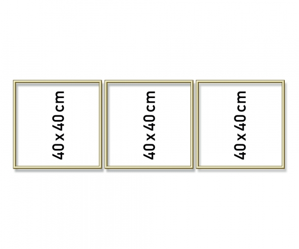 Alurahmen Triptychon 40 x 120 cm Alurahmen Triptychon 40 x 120 cm