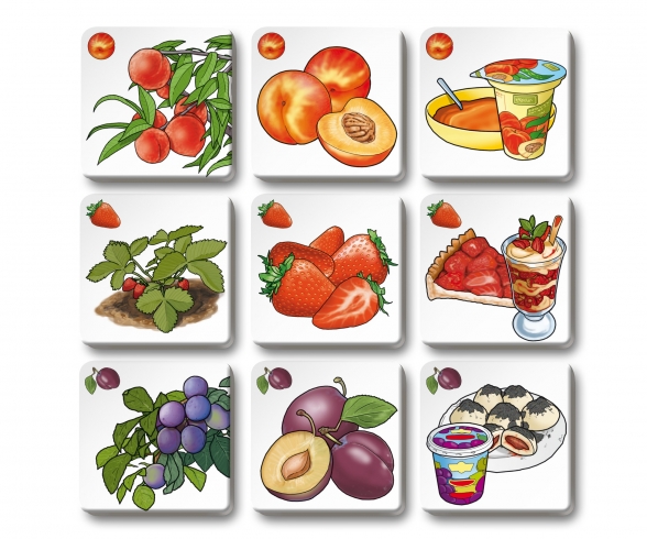 Memo Trio fruit and vegetables Memo Trio fruit and vegetables