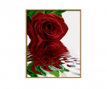 Rote Rose Malen nach Zahlen Rote Rose Malen nach Zahlen