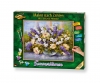 Sommerblumen Sommerblumen