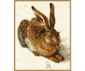 Young Hare based on Albrecht Dürer 1471 - 1528 Young Hare based on Albrecht Dürer 1471 - 1528