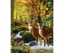 Deer in the forest Deer in the forest