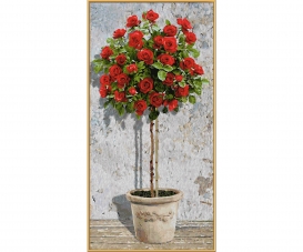 Red Rose Tree Red Rose Tree