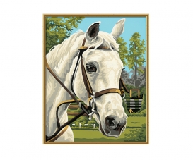 White Beauty White Beauty