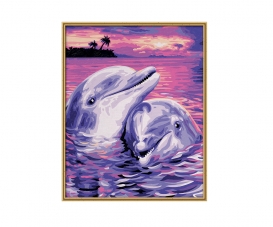 Dolphins Dolphins