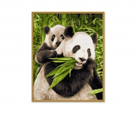 Pandabären Malen nach Zahlen Pandabären Malen nach Zahlen