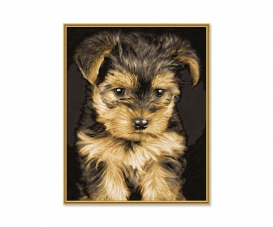 Yorkshire Puppy / Welpe Malen nach Zahlen Vorlage Yorkshire Puppy / Welpe Malen nach Zahlen Vorlage