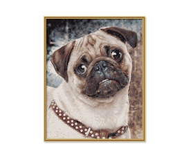 The Pug The Pug