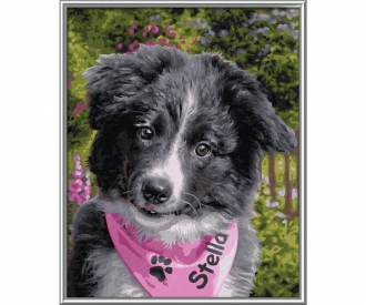 Border Collie Puppy Malen Nach Zahlen 609240793 Klassiker Tiere Kategorien Shop Malennachzahlen Schipper De