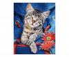 Katze im Rucksack Katze im Rucksack