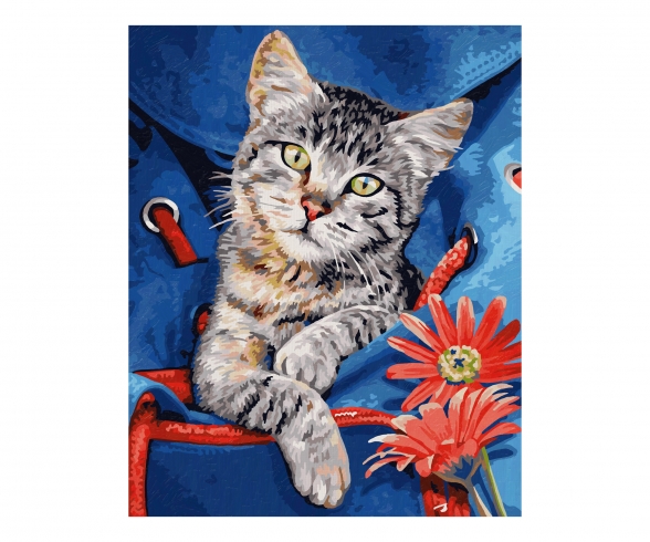 Katze im Rucksack Katze im Rucksack