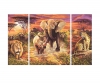 Afrique – Les Big Five Afrique – Les Big Five