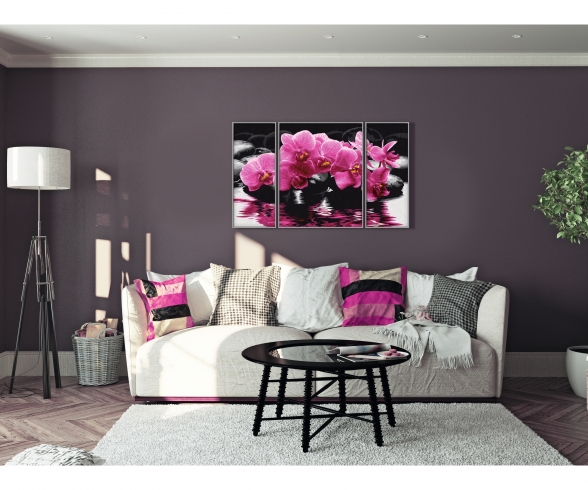 Orchidées Orchidées
