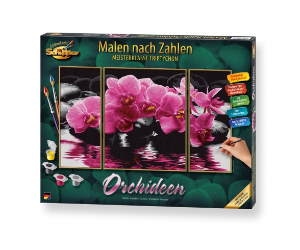 Orchidées Orchidées