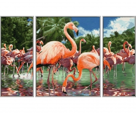 Flamants Flamants