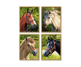Horses & pony Horses & pony